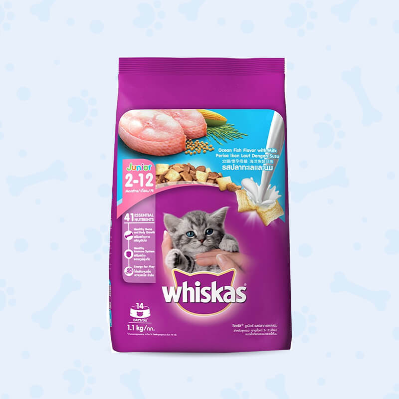 whiskas dry food ocean fish (junior) 1.1kg gulshanpetclinic whiskas dry food ocean fish (junior) 1.1kg gulshanpetclinic